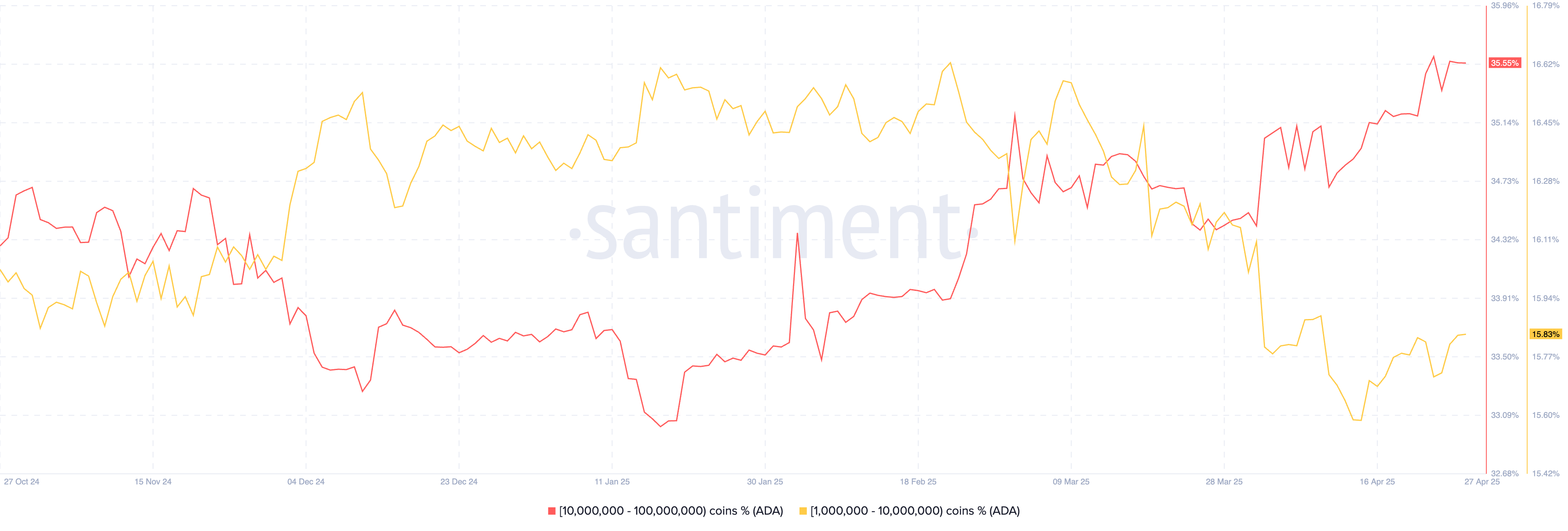 Cardano whales are buying