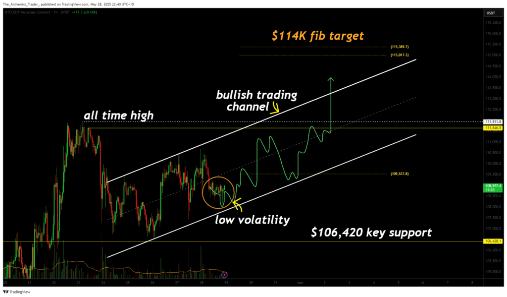 Bitcoin price prediction: Bulls eye $114k if current support holds - 1