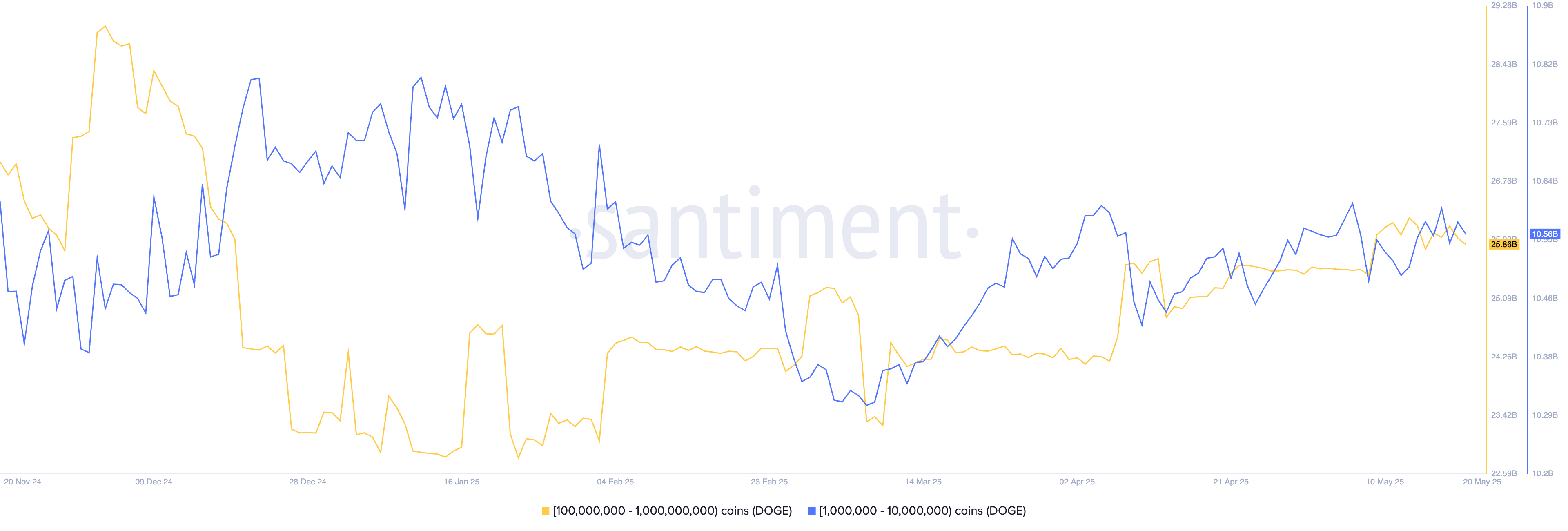 Dogecoin whales buying