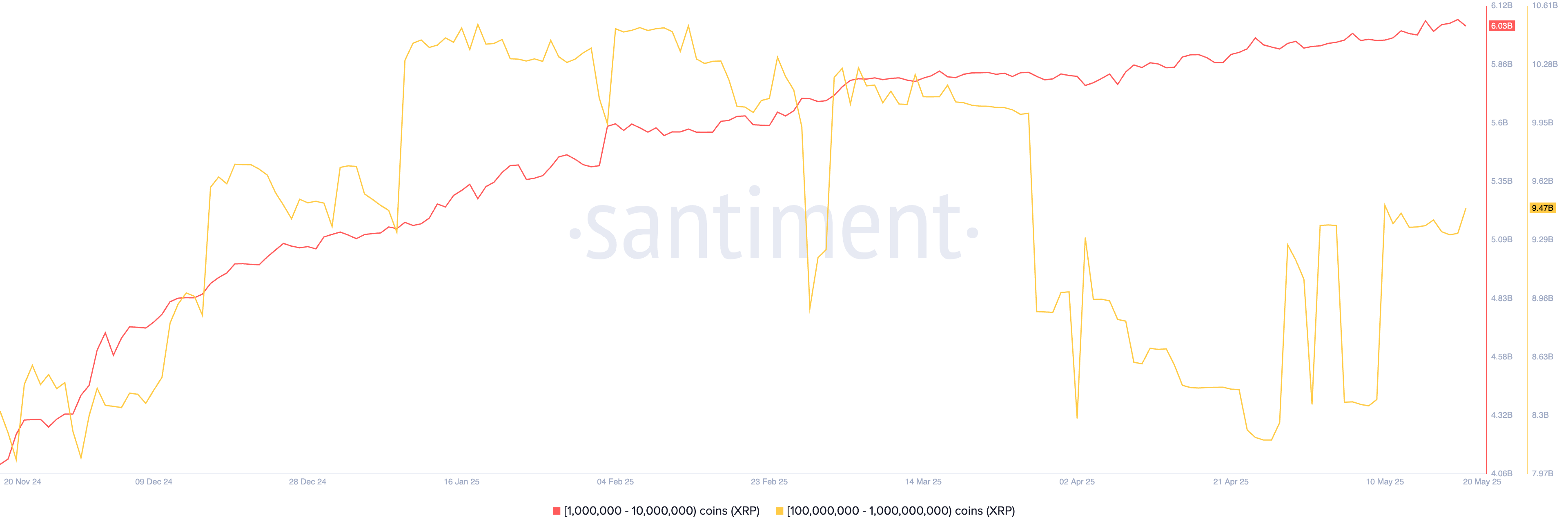 XRP whale activity