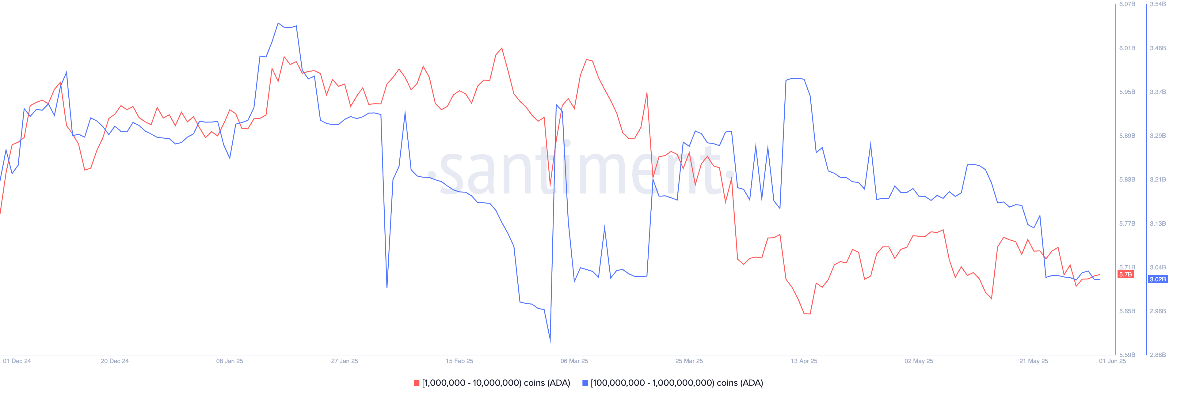 Cardano whale transactions