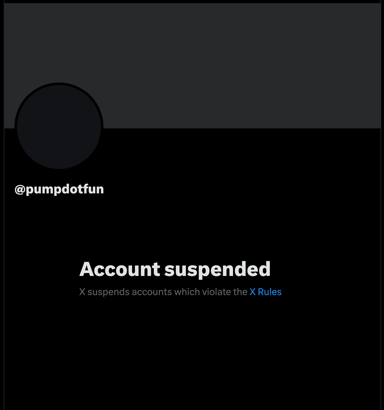 X wipes Pump.fun and founder's accounts in coordinated suspension spree - 1