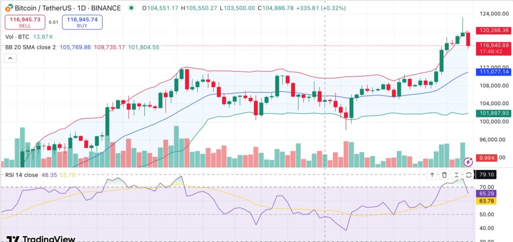 BTC pulls back to $117K—is the rally losing steam? - 1