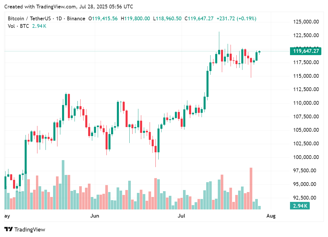 Price chart for BTC in the past few months, July 28, 2025 | Source: crypto.news