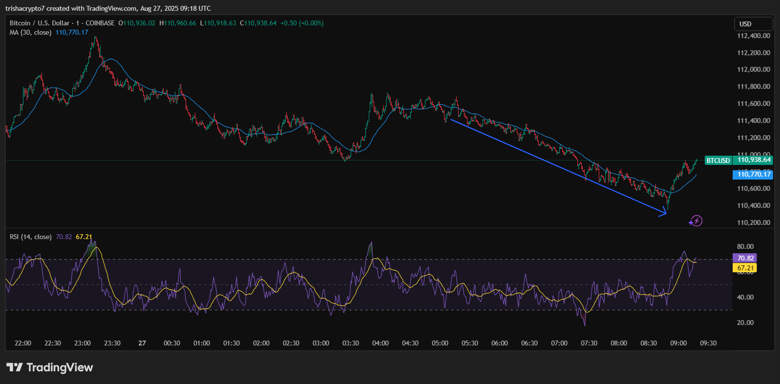 Bitcoin price chart in the past few hours shows a drop in 30-day Moving Average | Source: TradingView