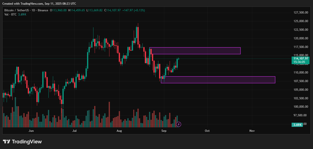 Bitcoin price prediction: $115K showdown could trigger $20K whipsaw - 3
