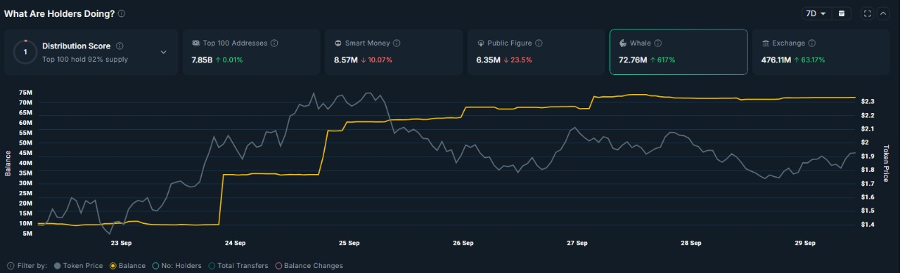 ASTER tokens held across whale wallets.