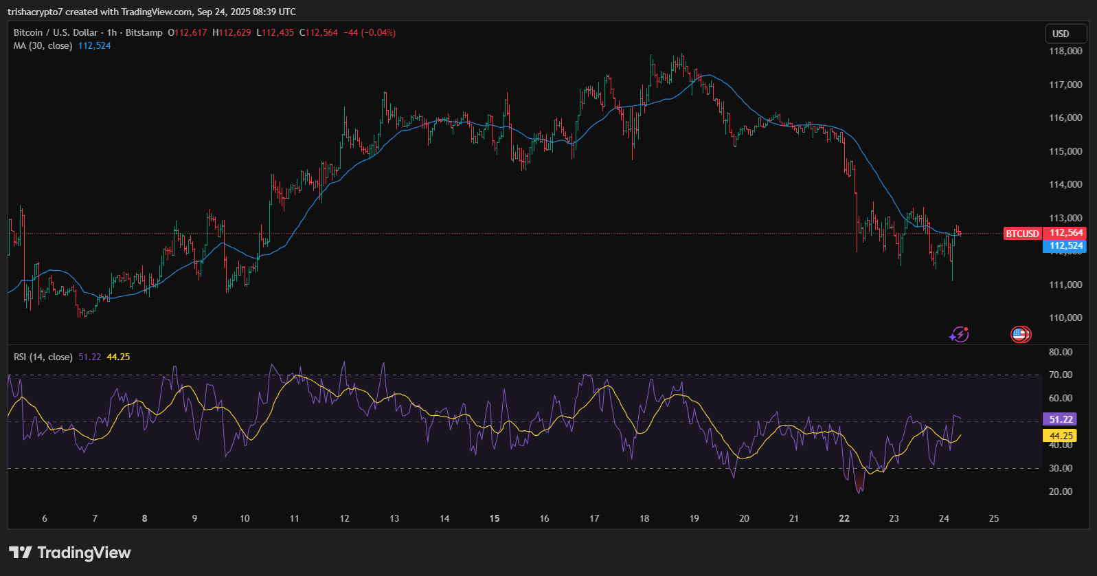Bitcoin price chart depicting a slow rise that could lead to a rally | Source: TradingView