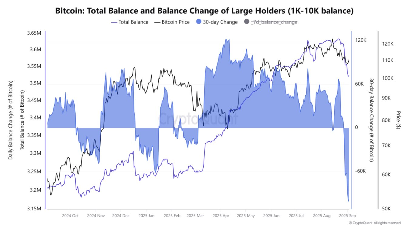 Image showing the strong decline in Bitcoin whale holdings fueling price drop.
