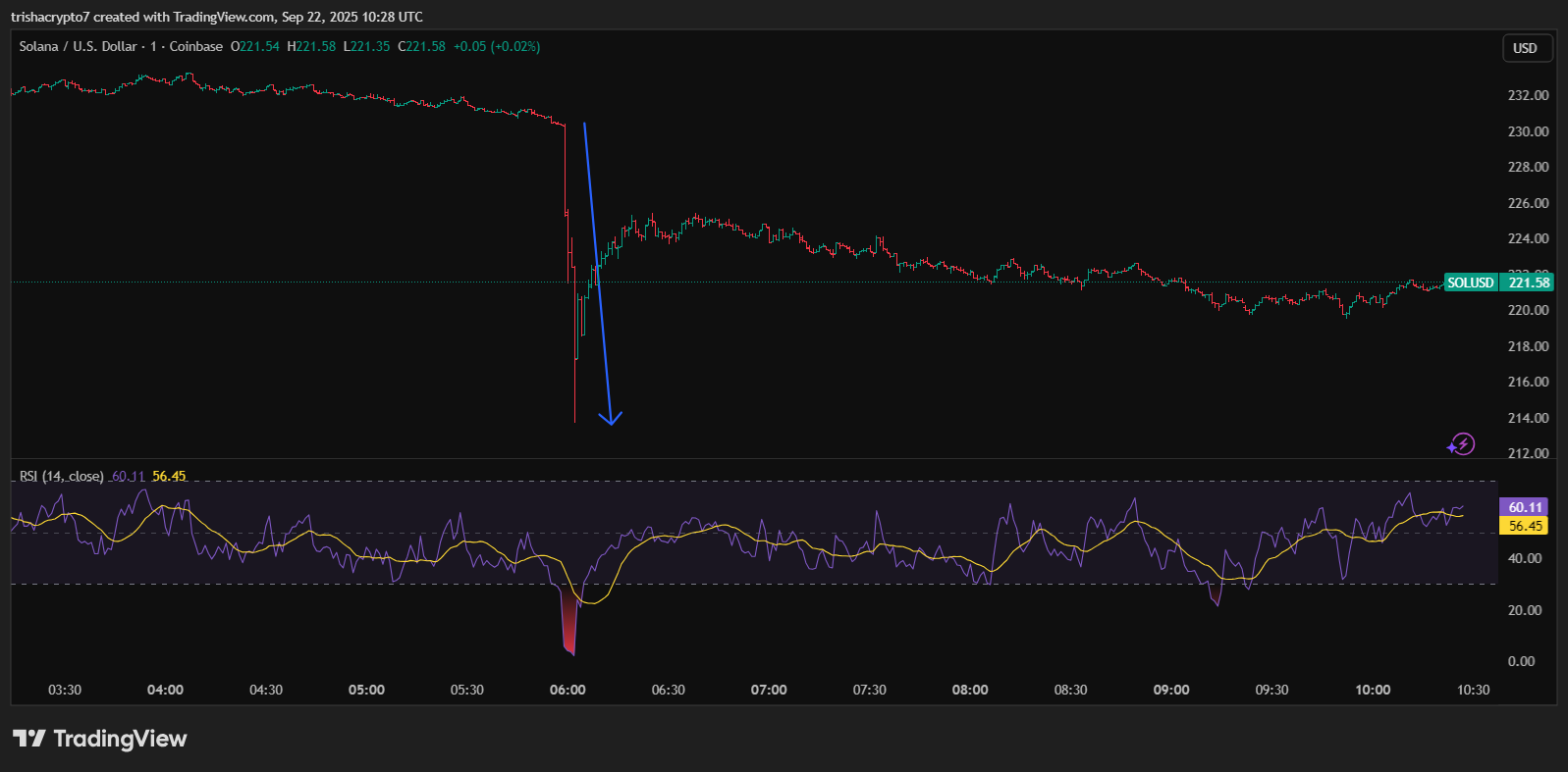 Solana's price fell in the first few hours of trading | Source: TradingView